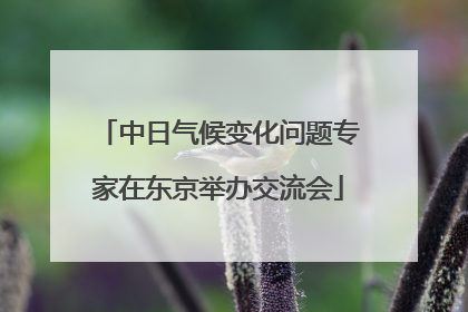 中日气候变化问题专家在东京举办交流会