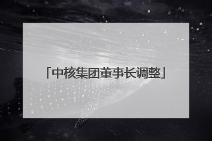中核集团董事长调整