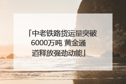 中老铁路货运量突破6000万吨 黄金通道释放强劲动能