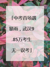中考首场遇暴雨，武汉9.85万考生无一误考