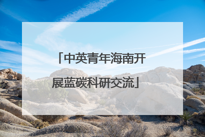 中英青年海南开展蓝碳科研交流