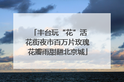丰台玩“花”活 花街夜市百万片玫瑰花瓣雨甜翻北京城