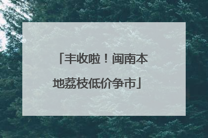 丰收啦！闽南本地荔枝低价争市