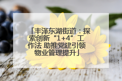 丰泽东湖街道：探索创新“1+4”工作法 助推党建引领物业管理提升