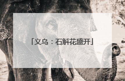 义乌：石斛花盛开
