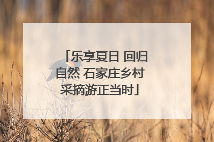 乐享夏日 回归自然 石家庄乡村采摘游正当时