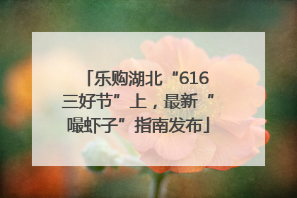 乐购湖北“616三好节”上，最新“嘬虾子”指南发布