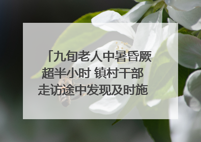 九旬老人中暑昏厥超半小时 镇村干部走访途中发现及时施救｜看见正能量