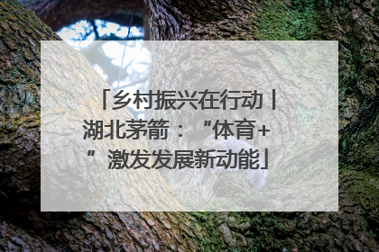 乡村振兴在行动丨湖北茅箭：“体育+”激发发展新动能