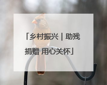 乡村振兴｜助残捐赠 用心关怀
