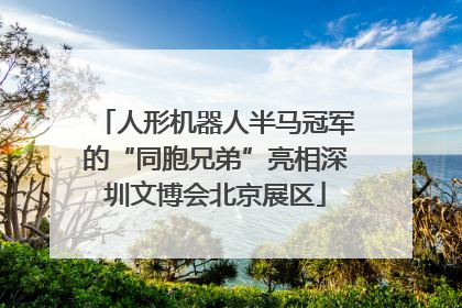 人形机器人半马冠军的“同胞兄弟”亮相深圳文博会北京展区