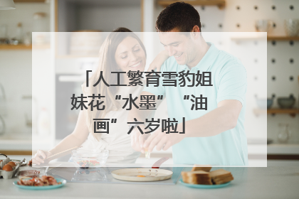 人工繁育雪豹姐妹花“水墨”“油画”六岁啦