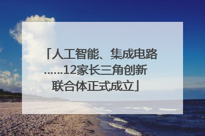 人工智能、集成电路……12家长三角创新联合体正式成立