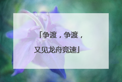 争渡，争渡，又见龙舟竞速
