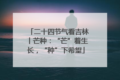 二十四节气看吉林丨芒种：“芒”着生长，“种”下希望