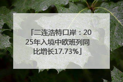 二连浩特口岸：2025年入境中欧班列同比增长17.73%