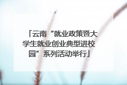 云南“就业政策暨大学生就业创业典型进校园”系列活动举行