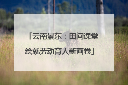 云南景东：田间课堂绘就劳动育人新画卷