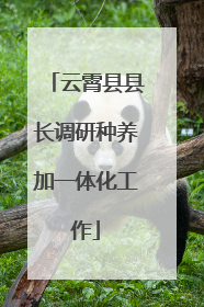 云霄县县长调研种养加一体化工作