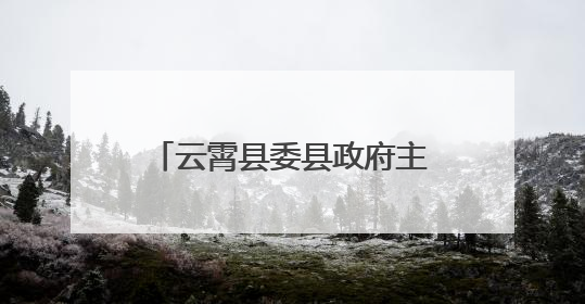 云霄县委县政府主要领导调研党建引领国企改革工作