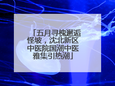 五月寻槐邂逅怪坡，沈北新区中医院国潮中医雅集引热潮