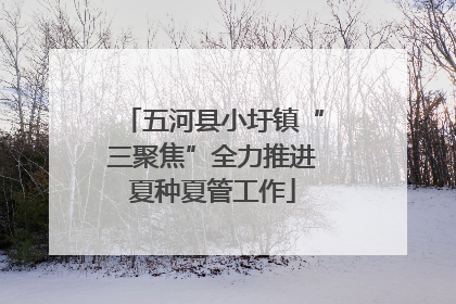 五河县小圩镇“三聚焦”全力推进夏种夏管工作