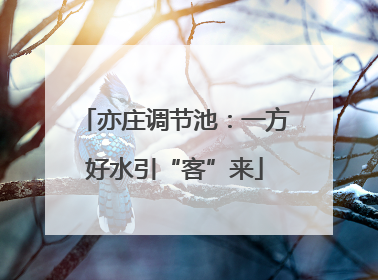 亦庄调节池：一方好水引“客”来