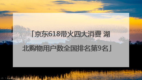 京东618带火四大消费 湖北购物用户数全国排名第9名