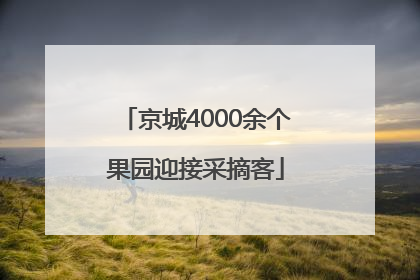 京城4000余个果园迎接采摘客