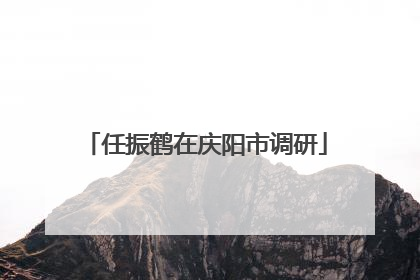 任振鹤在庆阳市调研