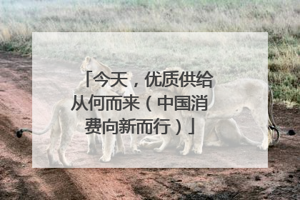 今天，优质供给从何而来（中国消费向新而行）