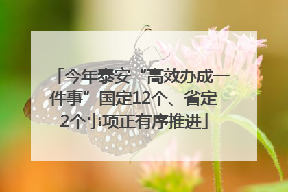 今年泰安“高效办成一件事”国定12个、省定2个事项正有序推进