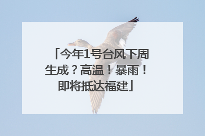 今年1号台风下周生成？高温！暴雨！即将抵达福建
