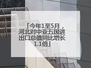 今年1至5月，河北对中亚五国进出口总值同比增长1.1倍