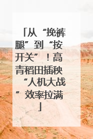 从“挽裤腿”到“按开关”！高青稻田插秧“人机大战”效率拉满