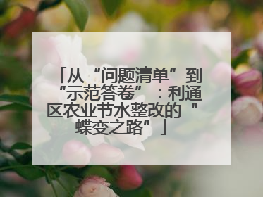 从“问题清单”到“示范答卷”：利通区农业节水整改的“蝶变之路”