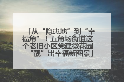 从“隐患地”到“幸福角”！五角场街道这个老旧小区党建微花园“靓”出幸福新图景