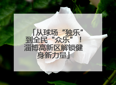 从球场“独乐”到全民“众乐”！淄博高新区解锁健身新力量