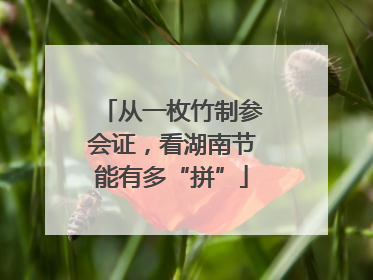 从一枚竹制参会证，看湖南节能有多“拼”
