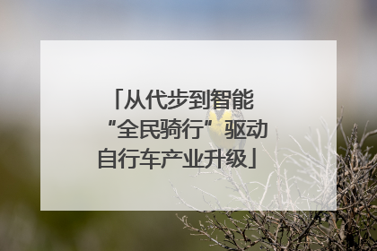 从代步到智能 “全民骑行”驱动自行车产业升级