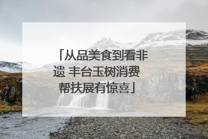 从品美食到看非遗 丰台玉树消费帮扶展有惊喜