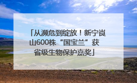 从濒危到绽放！新宁崀山600株“国宝兰”获省级生物保护嘉奖