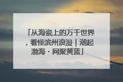 从海瓷上的万千世界，看懂滨州浪漫｜潮起渤海・网聚黄蓝