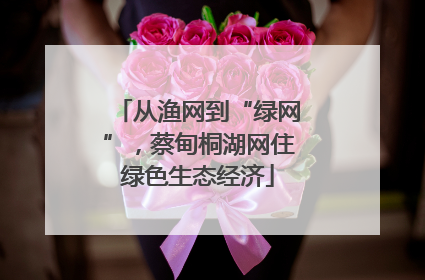 从渔网到“绿网”，蔡甸桐湖网住绿色生态经济