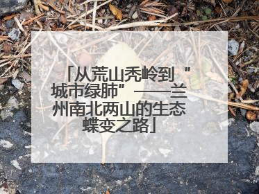 从荒山秃岭到“城市绿肺”——兰州南北两山的生态蝶变之路