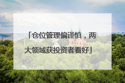 仓位管理偏谨慎，两大领域获投资者看好