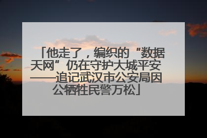 他走了，编织的“数据天网”仍在守护大城平安——追记武汉市公安局因公牺牲民警万松