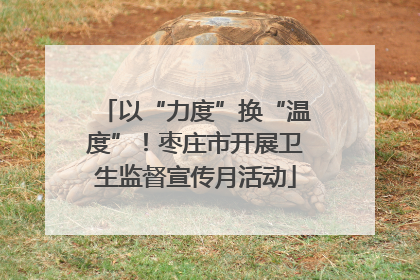 以“力度”换“温度”！枣庄市开展卫生监督宣传月活动
