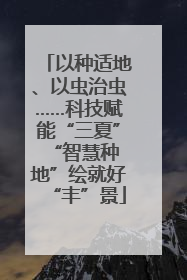 以种适地、以虫治虫……科技赋能“三夏” “智慧种地”绘就好“丰”景