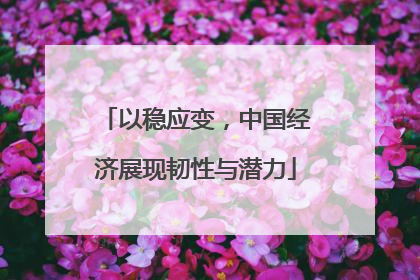 以稳应变,中国经济展现韧性与潜力